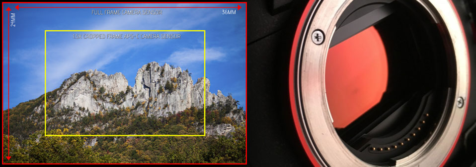 Full Frame vs Cropped Frame Cameras