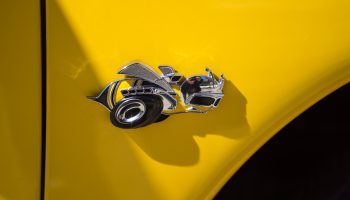 ISO 100, f/2.8, 1/3200 sec