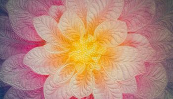 ISO 800, f/2.8, 1/160 sec